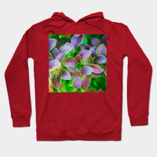 Vibrant green and purple leaves Hoodie